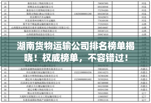 湖南货物运输公司排名榜单揭晓！权威榜单，不容错过！