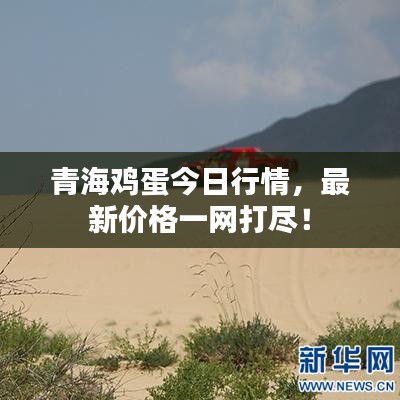 青海鸡蛋今日行情，最新价格一网打尽！