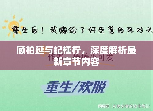 顾柏延与纪槿柠，深度解析最新章节内容