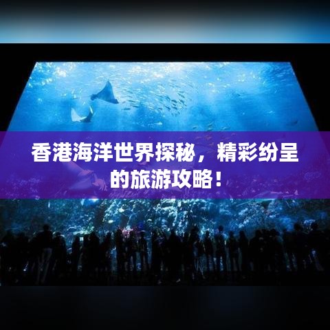 香港海洋世界探秘，精彩纷呈的旅游攻略！
