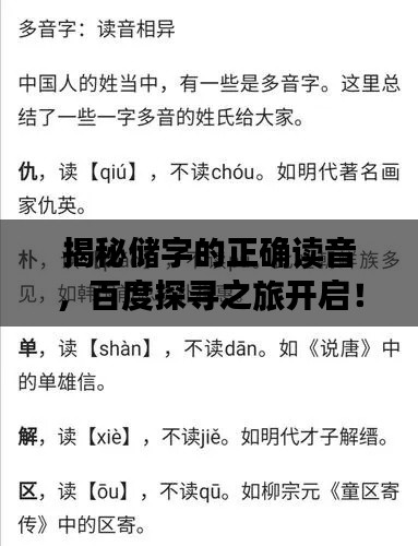 揭秘储字的正确读音，百度探寻之旅开启！