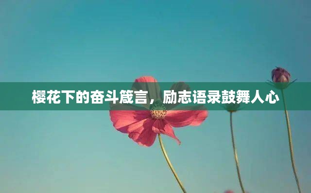 樱花下的奋斗箴言，励志语录鼓舞人心