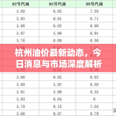 杭州油价最新动态，今日消息与市场深度解析