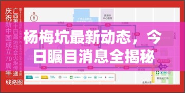 杨梅坑最新动态，今日瞩目消息全揭秘