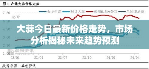 大蒜今日最新价格走势，市场分析揭秘未来趋势预测