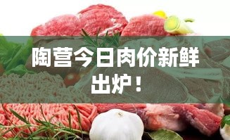 陶营今日肉价新鲜出炉！