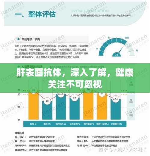 肝表面抗体，深入了解，健康关注不可忽视