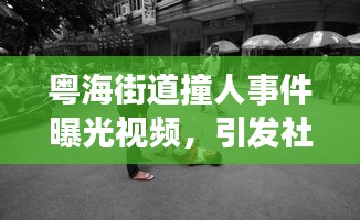 粤海街道撞人事件曝光视频，引发社会关注热议