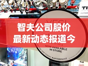 智夫公司股价最新动态报道今日揭晓！