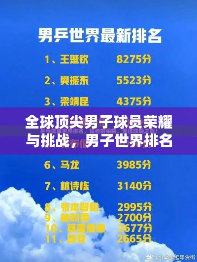 全球顶尖男子球员荣耀与挑战，男子世界排名深度解析