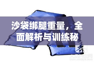 沙袋绑腿重量，全面解析与训练秘籍！