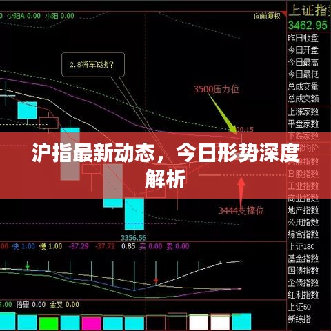 沪指最新动态，今日形势深度解析