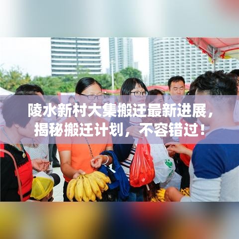 陵水新村大集搬迁最新进展，揭秘搬迁计划，不容错过！
