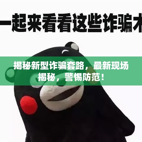 揭秘新型诈骗套路，最新现场揭秘，警惕防范！