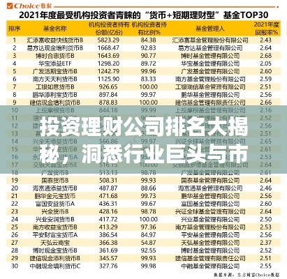 投资理财公司排名大揭秘，洞悉行业巨头与市场趋势