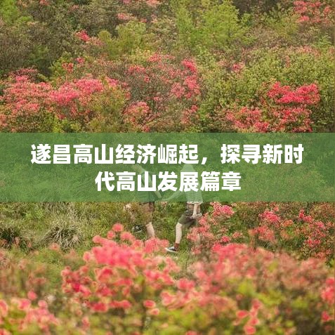 遂昌高山经济崛起，探寻新时代高山发展篇章