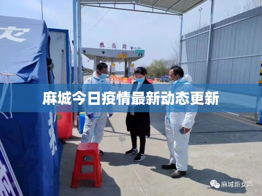 麻城今日疫情最新动态更新