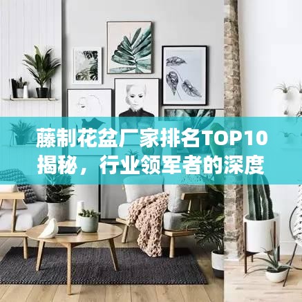 藤制花盆厂家排名TOP10揭秘，行业领军者的深度剖析
