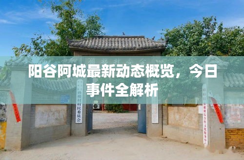 阳谷阿城最新动态概览，今日事件全解析