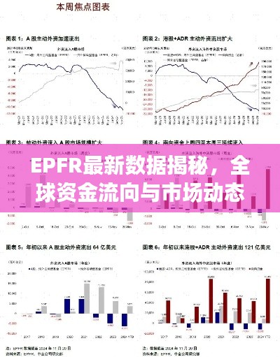 EPFR最新数据揭秘，全球资金流向与市场动态一览