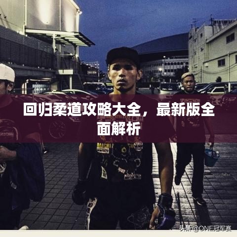 回归柔道攻略大全，最新版全面解析