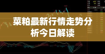 菜粕最新行情走势分析今日解读