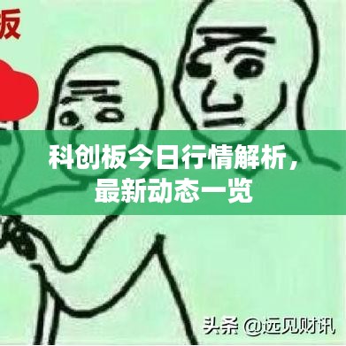 科创板今日行情解析，最新动态一览