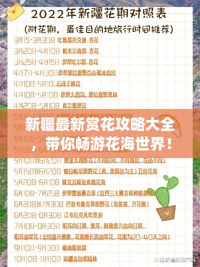 新疆最新赏花攻略大全，带你畅游花海世界！