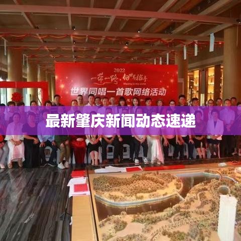 最新肇庆新闻动态速递
