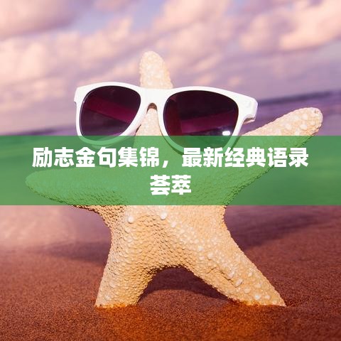 励志金句集锦，最新经典语录荟萃