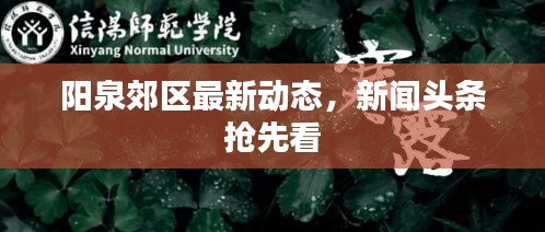 达官贵人