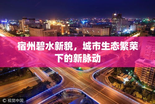 瞻云就日