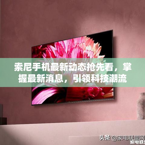 候鸟南飞
