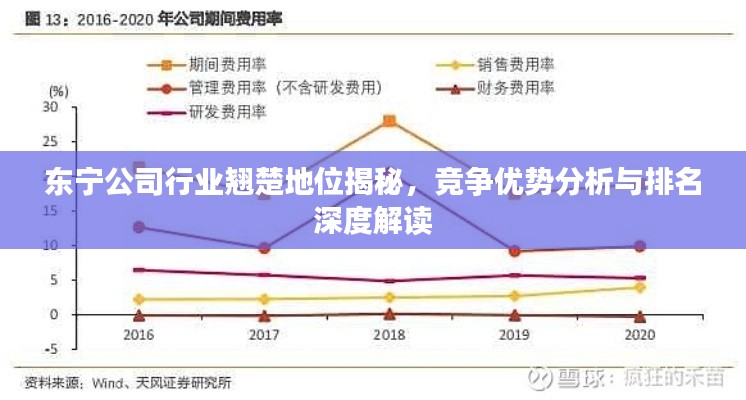 东宁公司行业翘楚地位揭秘，竞争优势分析与排名深度解读