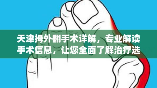飞扬拨扈