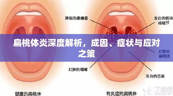 坚持不懈