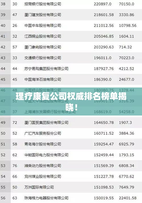 理疗康复公司权威排名榜单揭晓！