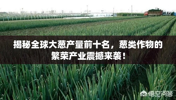 揭秘全球大葱产量前十名，葱类作物的繁荣产业震撼来袭！