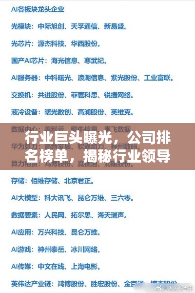行业巨头曝光，公司排名榜单，揭秘行业领导者