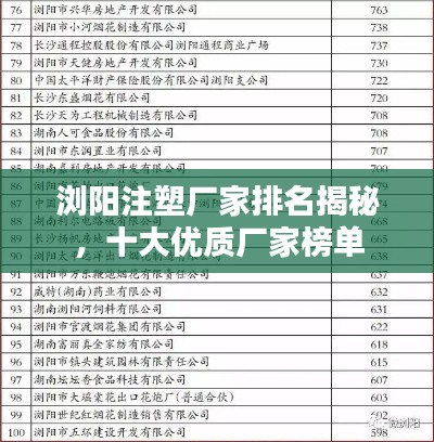 浏阳注塑厂家排名揭秘，十大优质厂家榜单