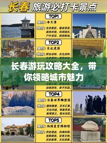 长春游玩攻略大全，带你领略城市魅力