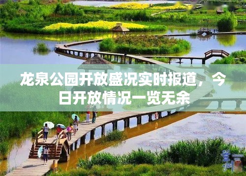 龙泉公园开放盛况实时报道，今日开放情况一览无余