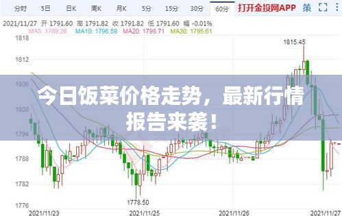 今日饭菜价格走势，最新行情报告来袭！