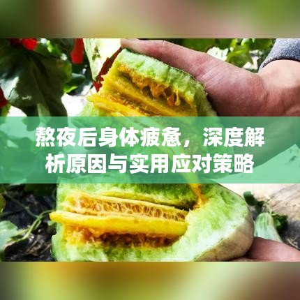 熬夜后身体疲惫，深度解析原因与实用应对策略