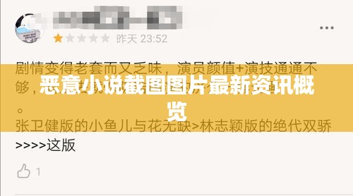 恶意小说截图图片最新资讯概览
