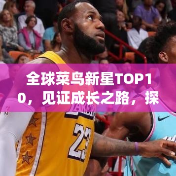 全球菜鸟新星TOP10，见证成长之路，探索未来潜能