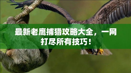最新老鹰捕猎攻略大全，一网打尽所有技巧！