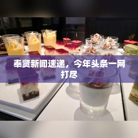 奉贤新闻速递，今年头条一网打尽