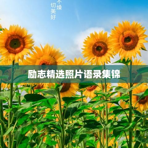 励志精选照片语录集锦