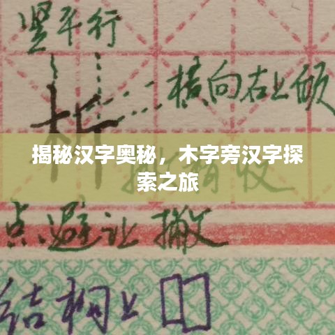 揭秘汉字奥秘，木字旁汉字探索之旅